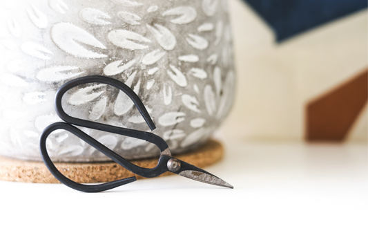 Heirloom Scissors